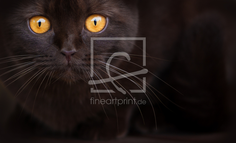 frei wählbarer Bildausschnitt für Ihr Bild auf Untersetzer