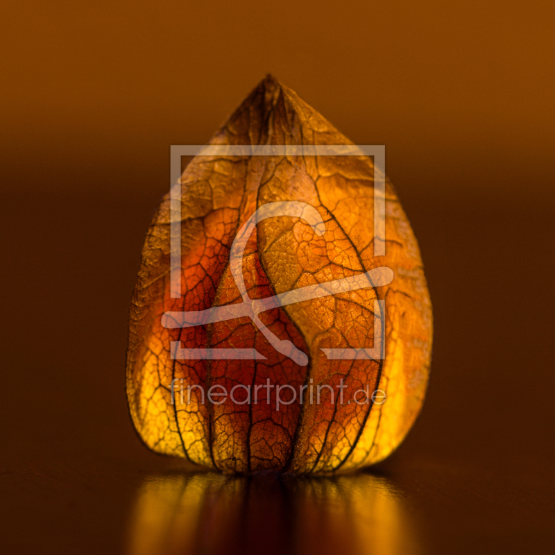 frei wählbarer Bildausschnitt für Ihr Bild auf Untersetzer