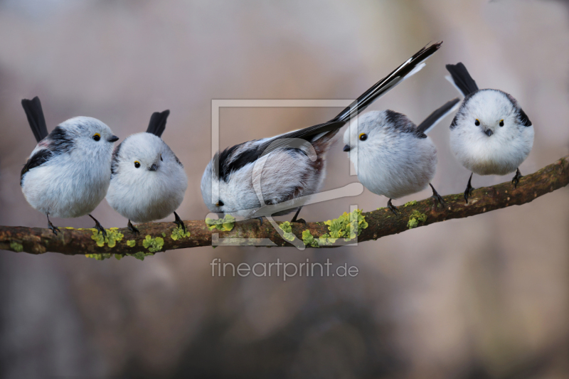 frei w&auml;hlbarer Bildausschnitt f&uuml;r Ihr Bild auf Untersetzer