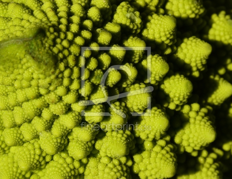 frei w&auml;hlbarer Bildausschnitt f&uuml;r Ihr Bild auf Untersetzer