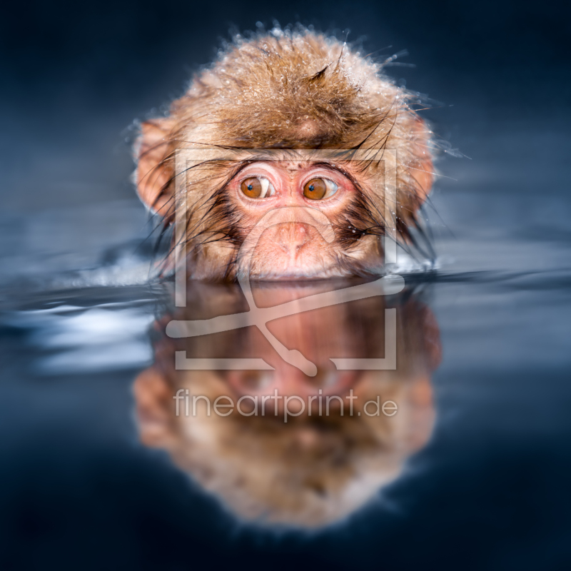 frei wählbarer Bildausschnitt für Ihr Bild auf Untersetzer