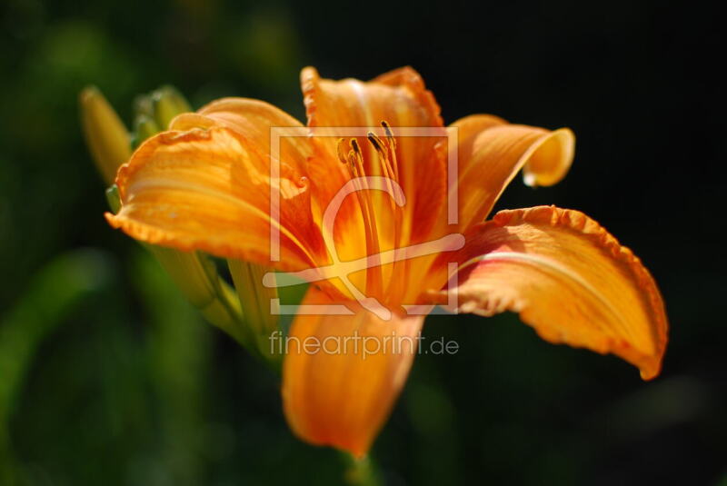 frei wählbarer Bildausschnitt für Ihr Bild auf Untersetzer