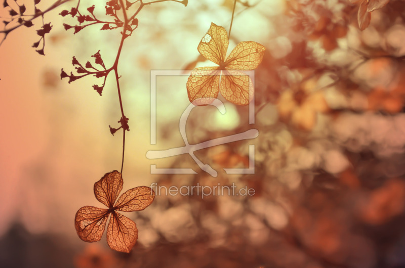 frei wählbarer Bildausschnitt für Ihr Bild auf Untersetzer