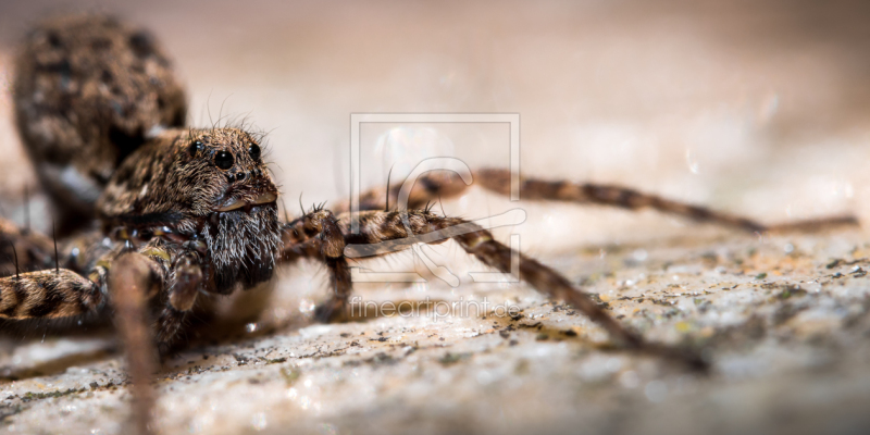 frei wählbarer Bildausschnitt für Ihr Bild auf Untersetzer