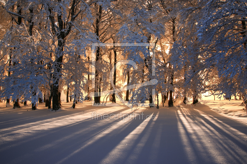 frei wählbarer Bildausschnitt für Ihr Bild auf Untersetzer