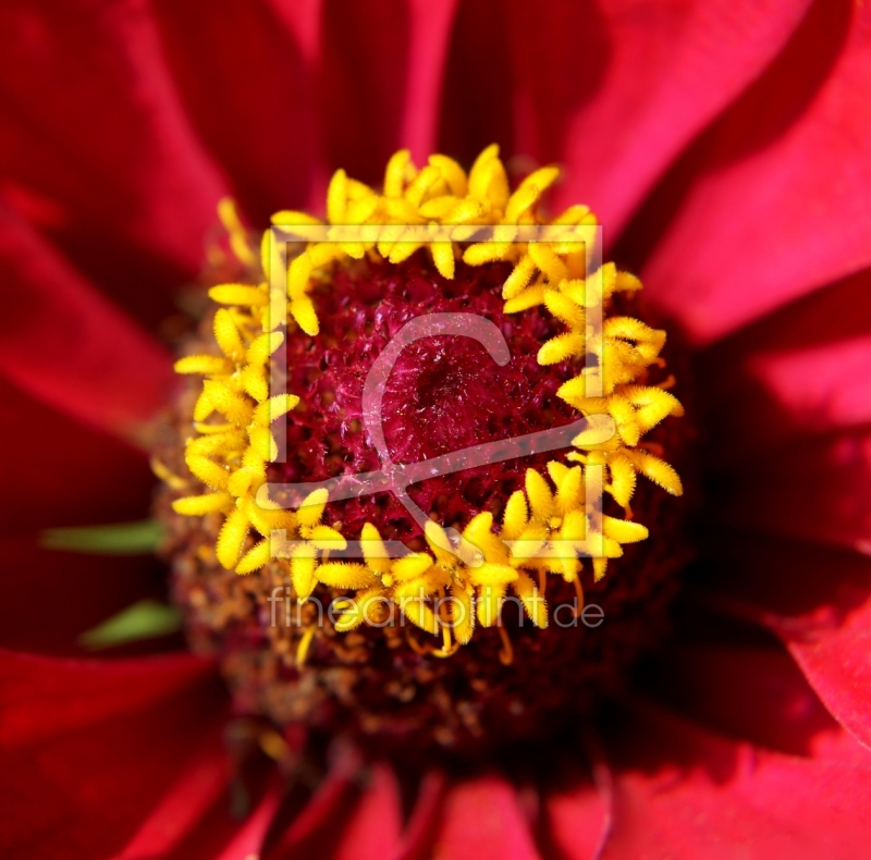 frei wählbarer Bildausschnitt für Ihr Bild auf Untersetzer