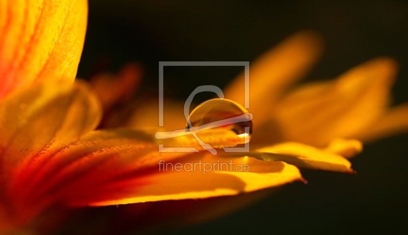 frei w&auml;hlbarer Bildausschnitt f&uuml;r Ihr Bild auf Untersetzer