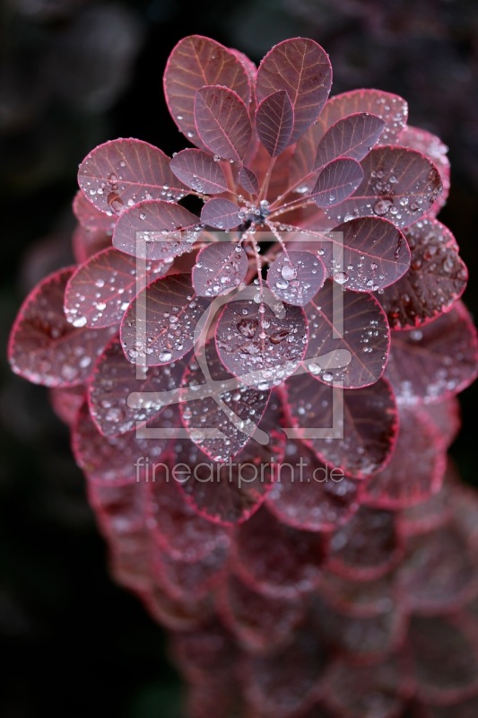 frei w&auml;hlbarer Bildausschnitt f&uuml;r Ihr Bild auf Untersetzer