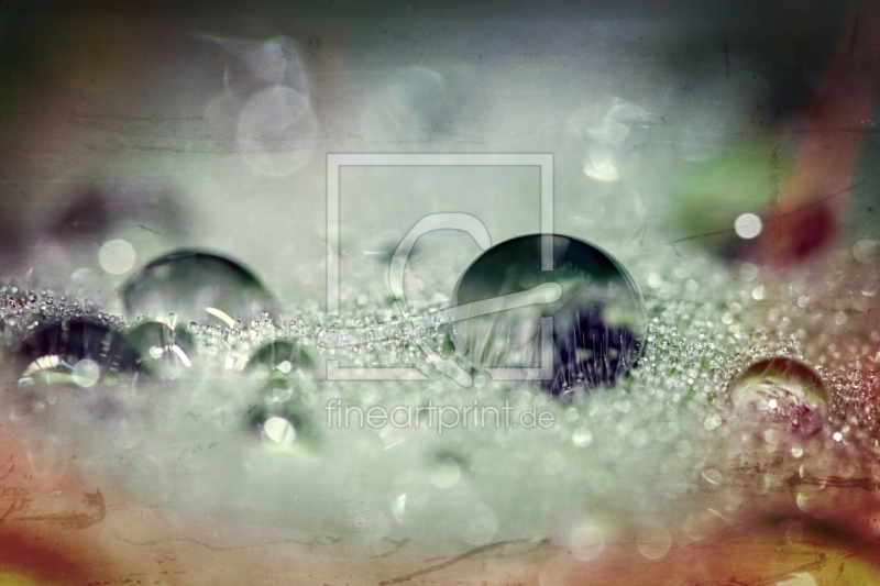 frei w&auml;hlbarer Bildausschnitt f&uuml;r Ihr Bild auf Untersetzer