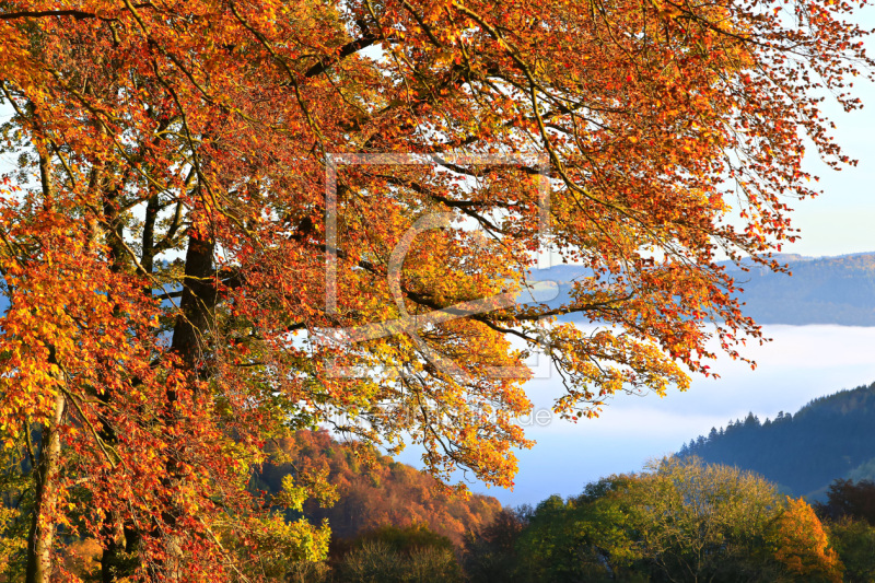 frei wählbarer Bildausschnitt für Ihr Bild auf Untersetzer