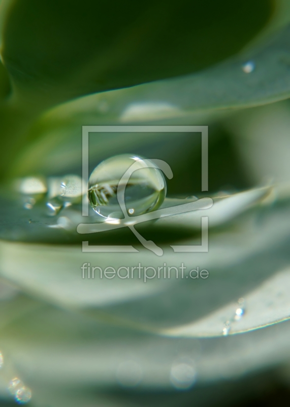 frei w&auml;hlbarer Bildausschnitt f&uuml;r Ihr Bild auf Untersetzer