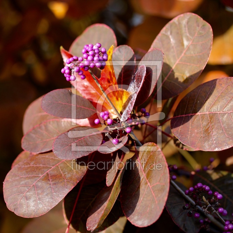 frei w&auml;hlbarer Bildausschnitt f&uuml;r Ihr Bild auf Untersetzer