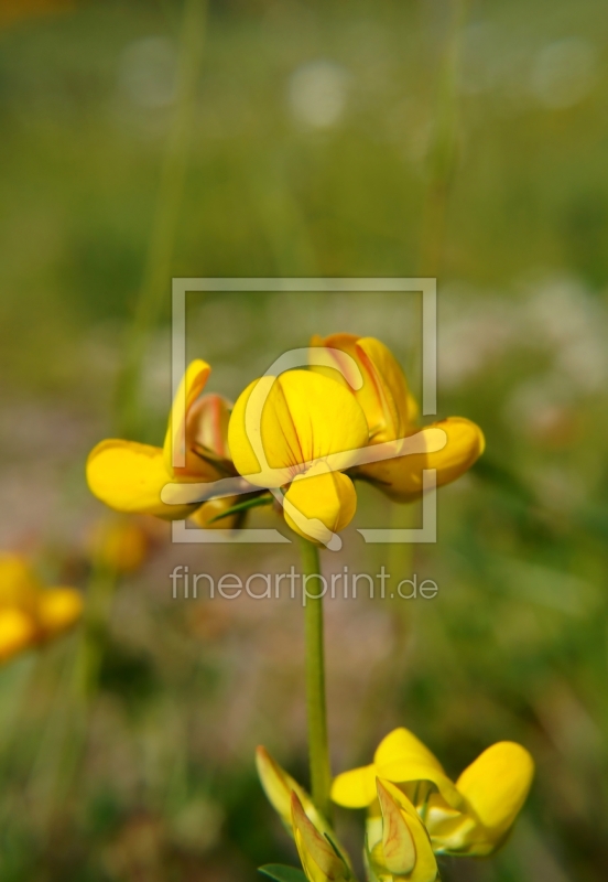 frei w&auml;hlbarer Bildausschnitt f&uuml;r Ihr Bild auf Untersetzer