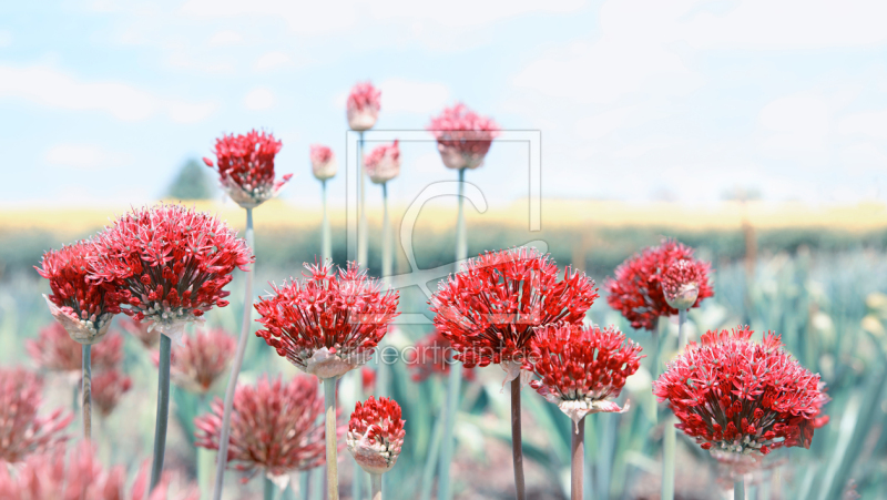 frei w&auml;hlbarer Bildausschnitt f&uuml;r Ihr Bild auf Untersetzer