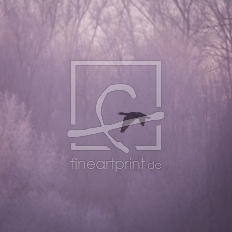 frei wählbarer Bildausschnitt für Ihr Bild auf Untersetzer