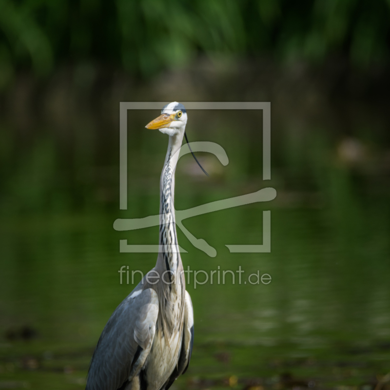 frei w&auml;hlbarer Bildausschnitt f&uuml;r Ihr Bild auf Untersetzer