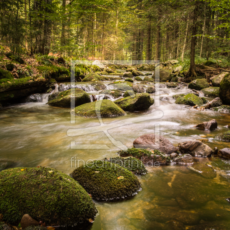 frei w&auml;hlbarer Bildausschnitt f&uuml;r Ihr Bild auf Untersetzer