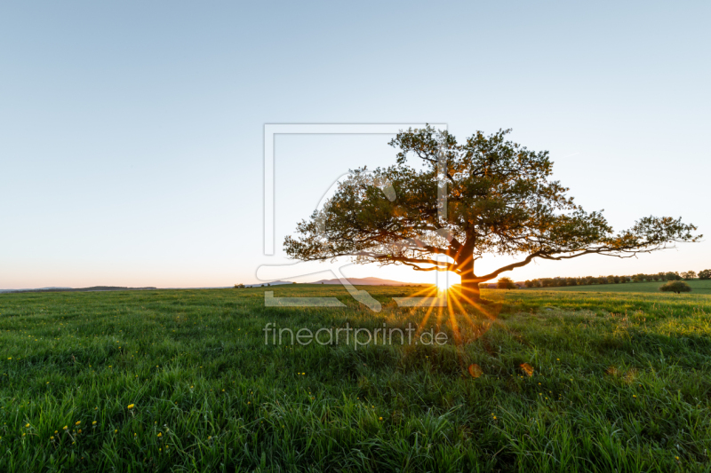 frei w&auml;hlbarer Bildausschnitt f&uuml;r Ihr Bild auf Untersetzer