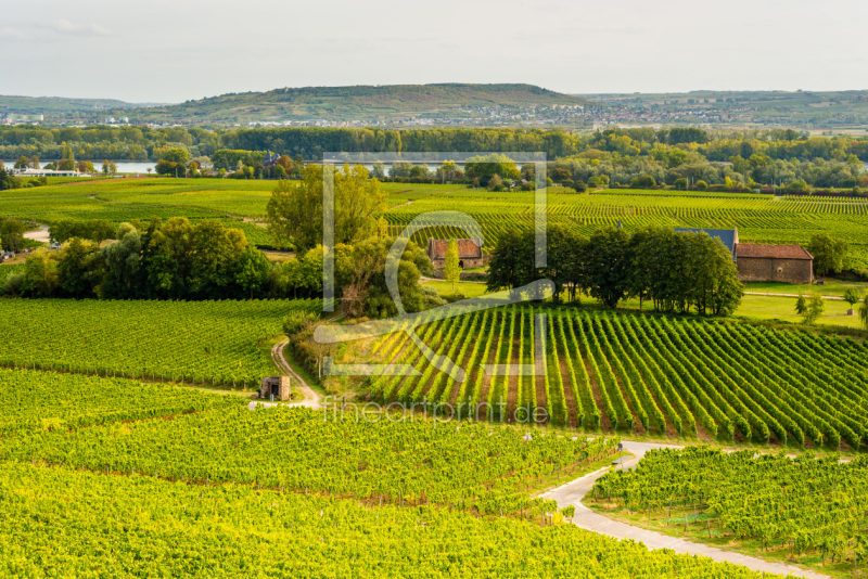 frei wählbarer Bildausschnitt für Ihr Bild auf Untersetzer