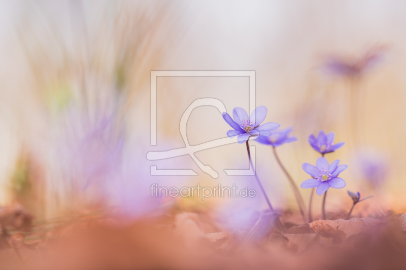 frei w&auml;hlbarer Bildausschnitt f&uuml;r Ihr Bild auf Untersetzer