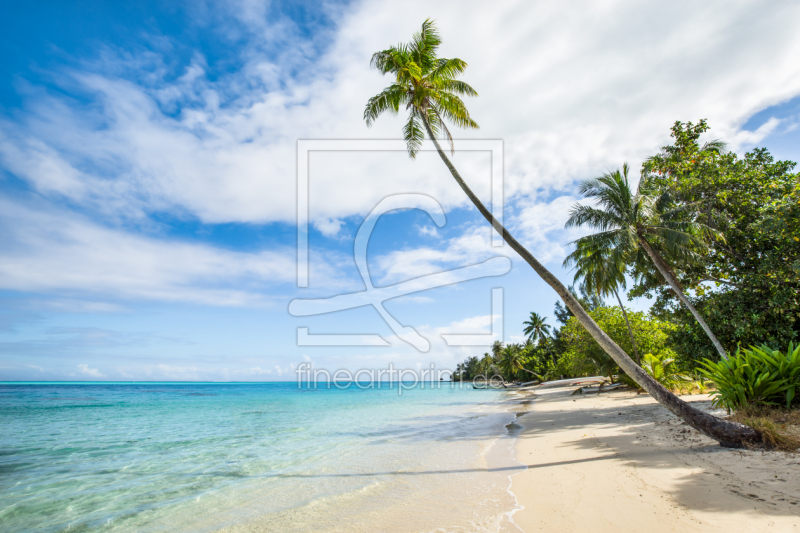 frei wählbarer Bildausschnitt für Ihr Bild auf Untersetzer