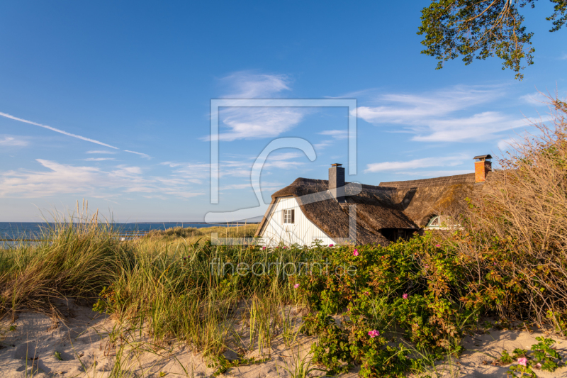 frei wählbarer Bildausschnitt für Ihr Bild auf Untersetzer