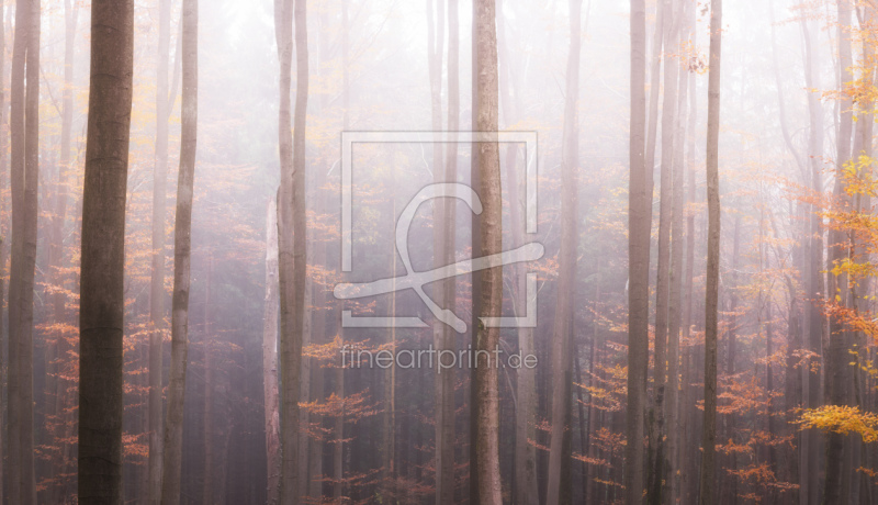 frei w&auml;hlbarer Bildausschnitt f&uuml;r Ihr Bild auf Untersetzer