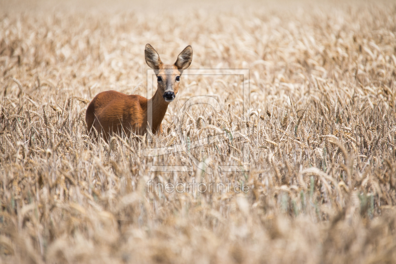 frei wählbarer Bildausschnitt für Ihr Bild auf Untersetzer