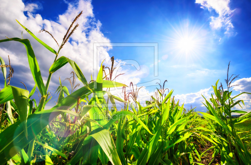 frei wählbarer Bildausschnitt für Ihr Bild auf Untersetzer
