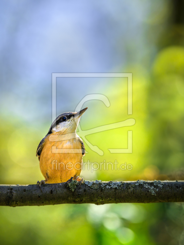 frei wählbarer Bildausschnitt für Ihr Bild auf Untersetzer