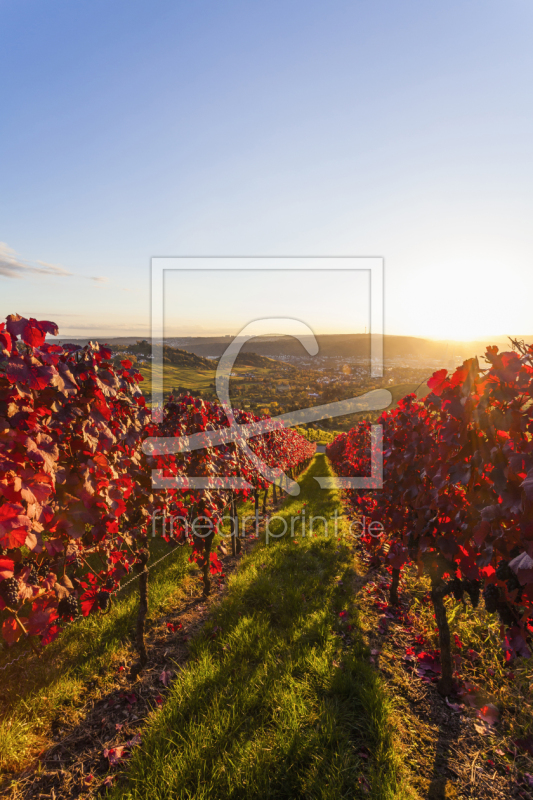 frei w&auml;hlbarer Bildausschnitt f&uuml;r Ihr Bild auf Untersetzer