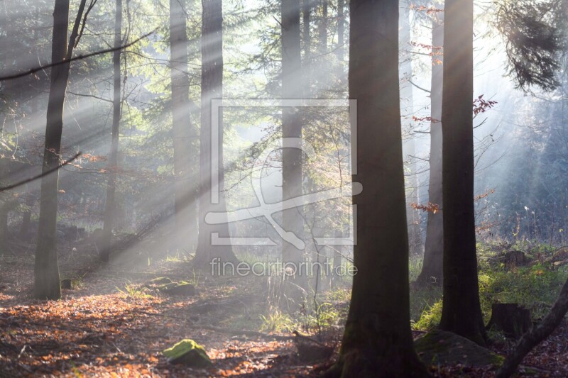 frei w&auml;hlbarer Bildausschnitt f&uuml;r Ihr Bild auf Untersetzer