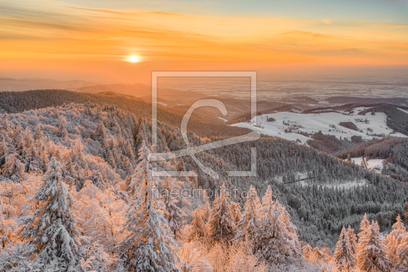 frei wählbarer Bildausschnitt für Ihr Bild auf Untersetzer