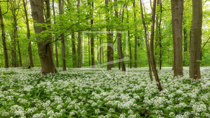 frei wählbarer Bildausschnitt für Ihr Bild auf Untersetzer