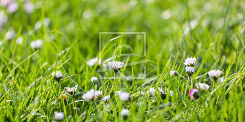 frei w&auml;hlbarer Bildausschnitt f&uuml;r Ihr Bild auf Untersetzer