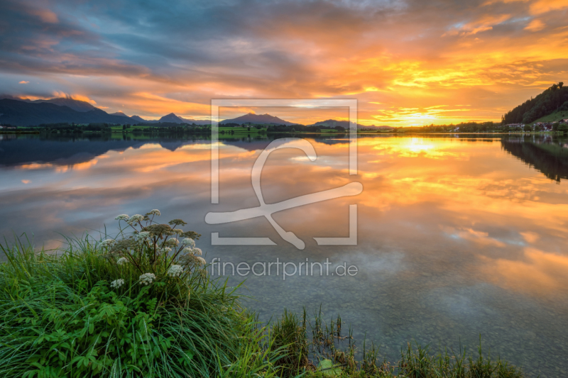 frei wählbarer Bildausschnitt für Ihr Bild auf Untersetzer