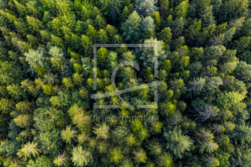 frei wählbarer Bildausschnitt für Ihr Bild auf Untersetzer