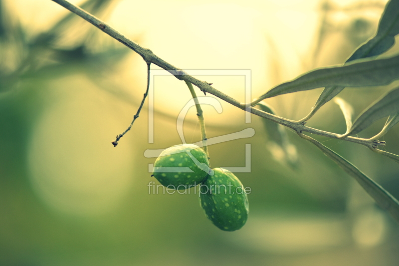 frei w&auml;hlbarer Bildausschnitt f&uuml;r Ihr Bild auf Untersetzer