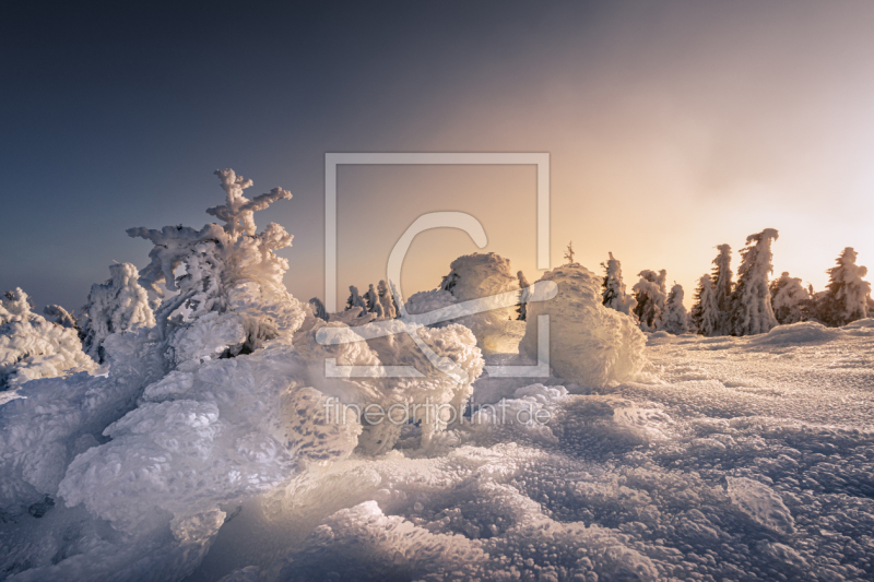 frei w&auml;hlbarer Bildausschnitt f&uuml;r Ihr Bild auf Untersetzer