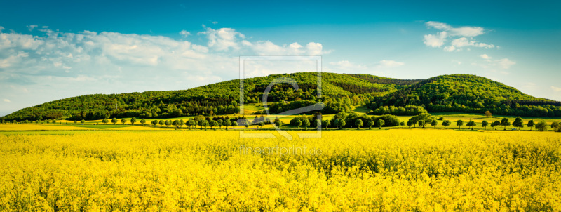 frei w&auml;hlbarer Bildausschnitt f&uuml;r Ihr Bild auf Untersetzer