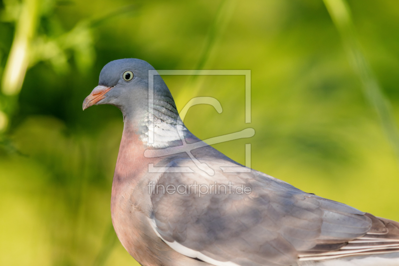 frei w&auml;hlbarer Bildausschnitt f&uuml;r Ihr Bild auf Untersetzer