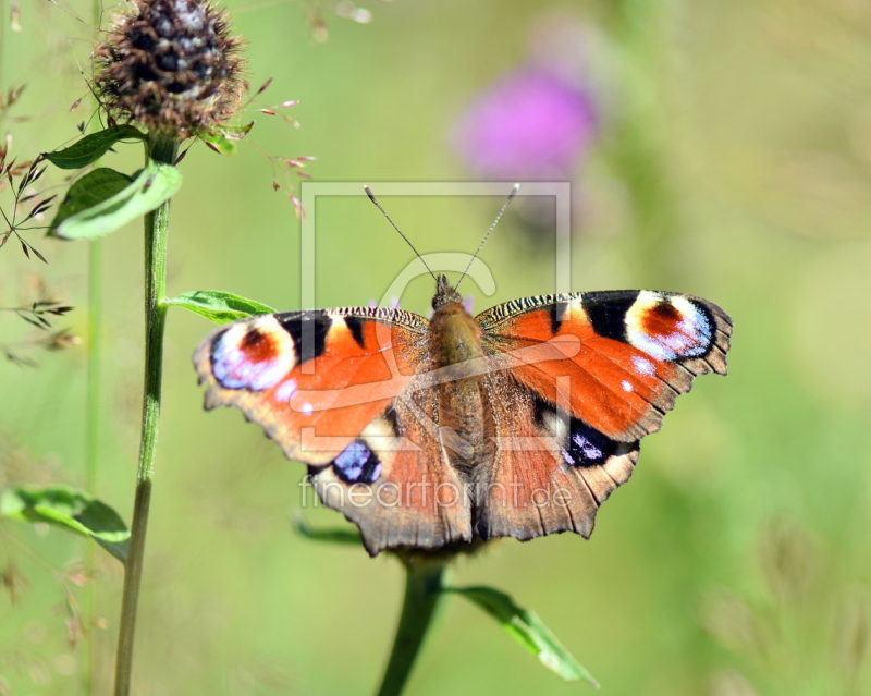 frei w&auml;hlbarer Bildausschnitt f&uuml;r Ihr Bild auf Untersetzer