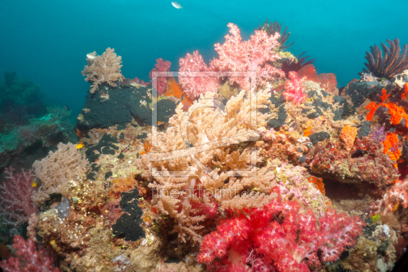 frei wählbarer Bildausschnitt für Ihr Bild auf Untersetzer