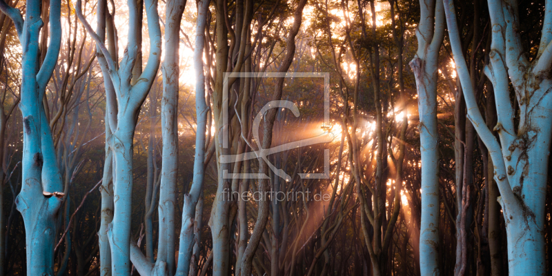 frei wählbarer Bildausschnitt für Ihr Bild auf Untersetzer