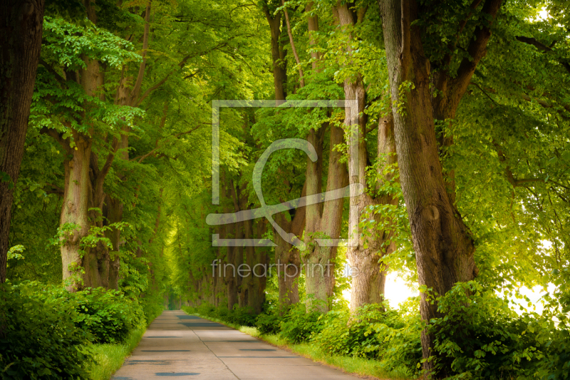 frei wählbarer Bildausschnitt für Ihr Bild auf Untersetzer