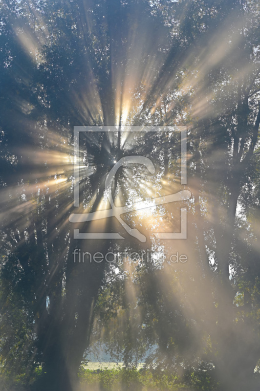 frei wählbarer Bildausschnitt für Ihr Bild auf Untersetzer