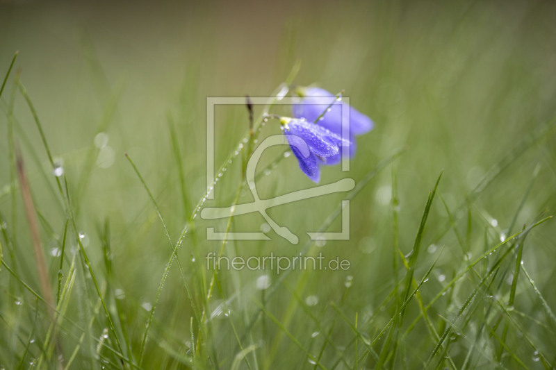 frei w&auml;hlbarer Bildausschnitt f&uuml;r Ihr Bild auf Untersetzer