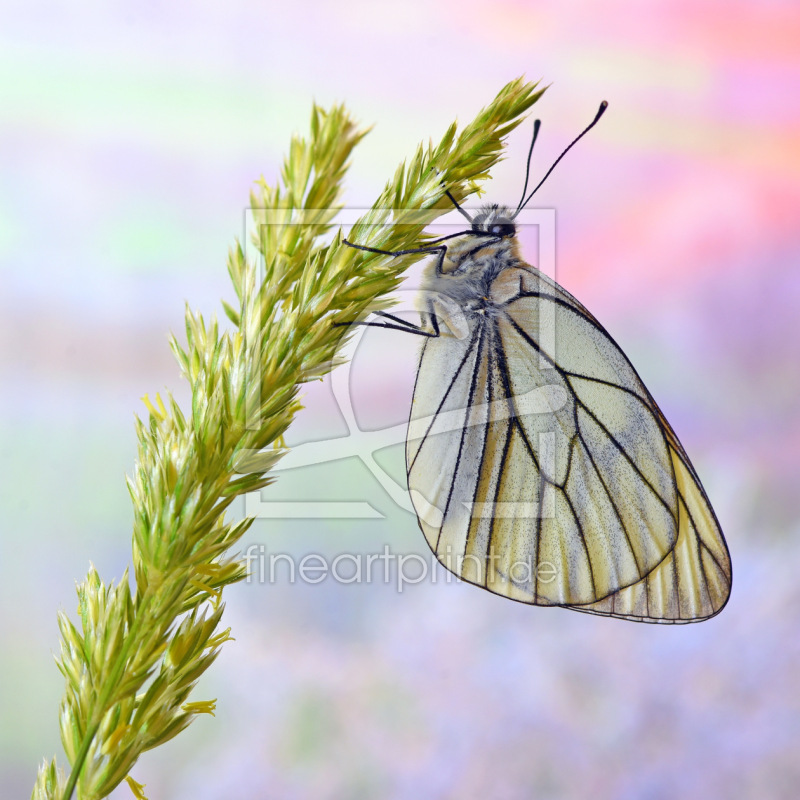 frei w&auml;hlbarer Bildausschnitt f&uuml;r Ihr Bild auf Untersetzer