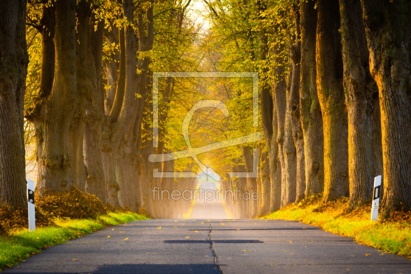 frei wählbarer Bildausschnitt für Ihr Bild auf Untersetzer