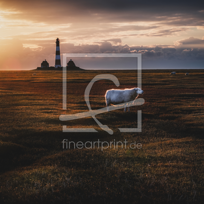 frei w&auml;hlbarer Bildausschnitt f&uuml;r Ihr Bild auf Untersetzer